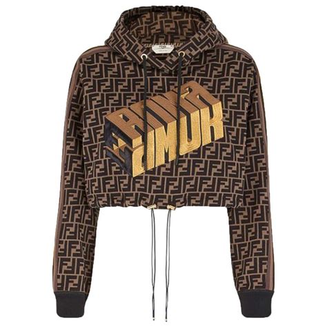 fendi roma hoodie price|Fendi hoodie selfridges.